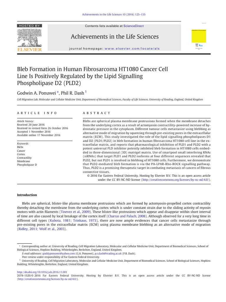 Bleb Formation in Human Fibrosarcoma HT1080 Cancer Cell Line Is ...
