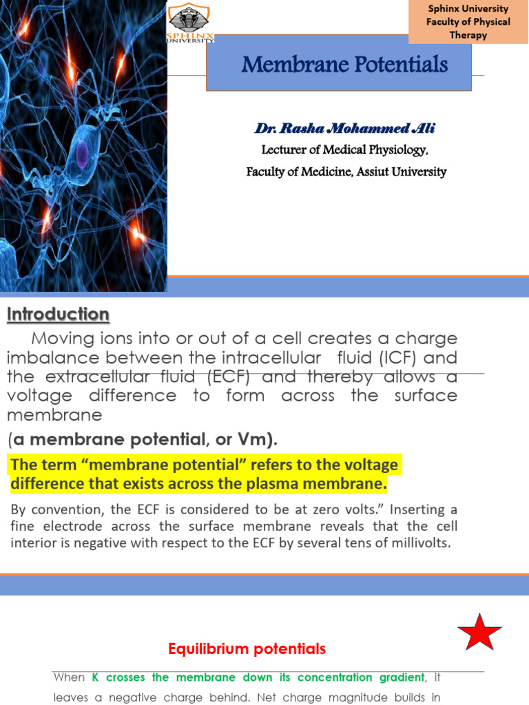 Understanding Membrane Potentials | PDF | Action Potential | Membrane ...