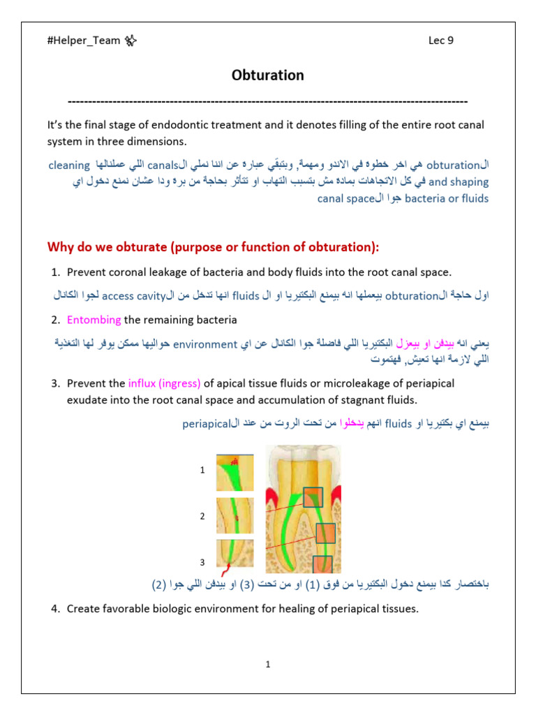Endo Lec 9 (Slide) | PDF