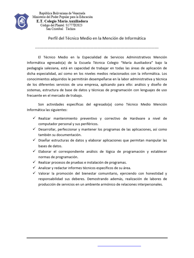 PERFIL INFORMATICA | PDF