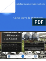 Curso Hidroponia