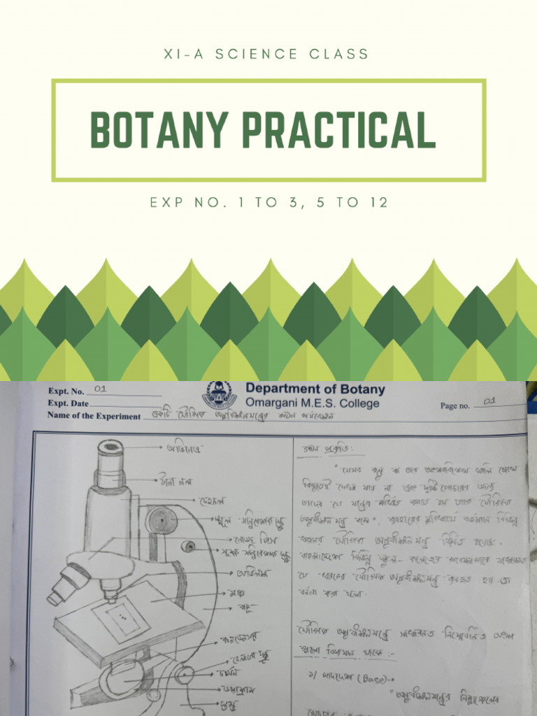 Botany Practical PDF (Xi-A Science Class) | PDF