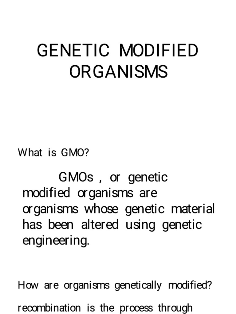 Understanding Genetically Modified Organisms | PDF | Genetically ...