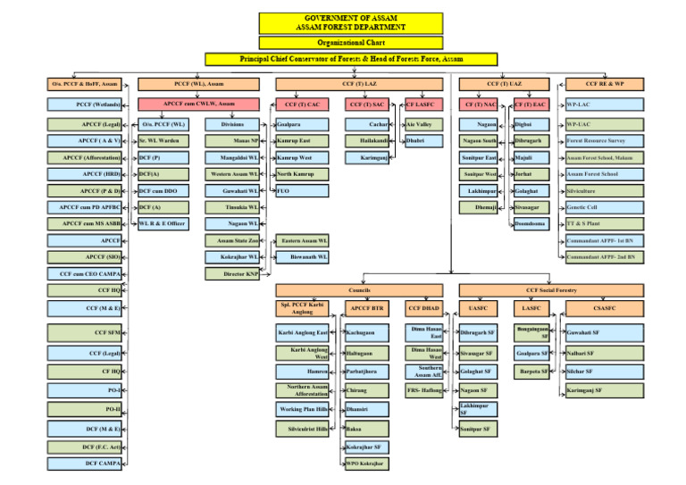 Organization Chart 0 | PDF | Forests | Natural Resource Management