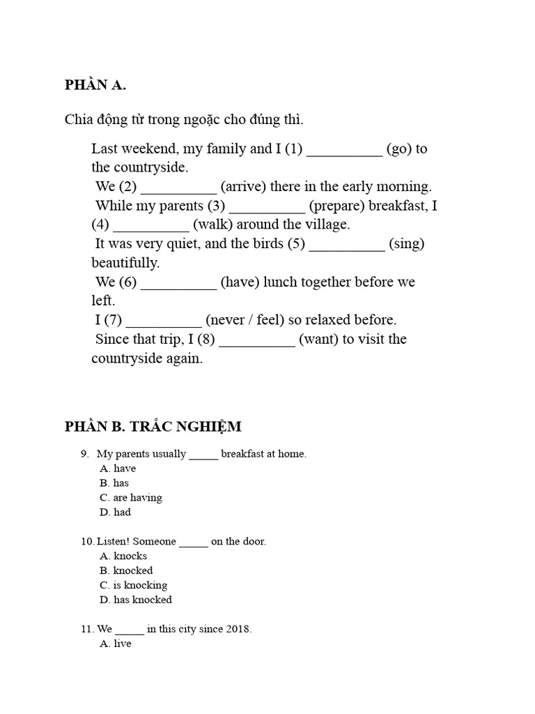 Verb Tense Exercises for Beginners | PDF