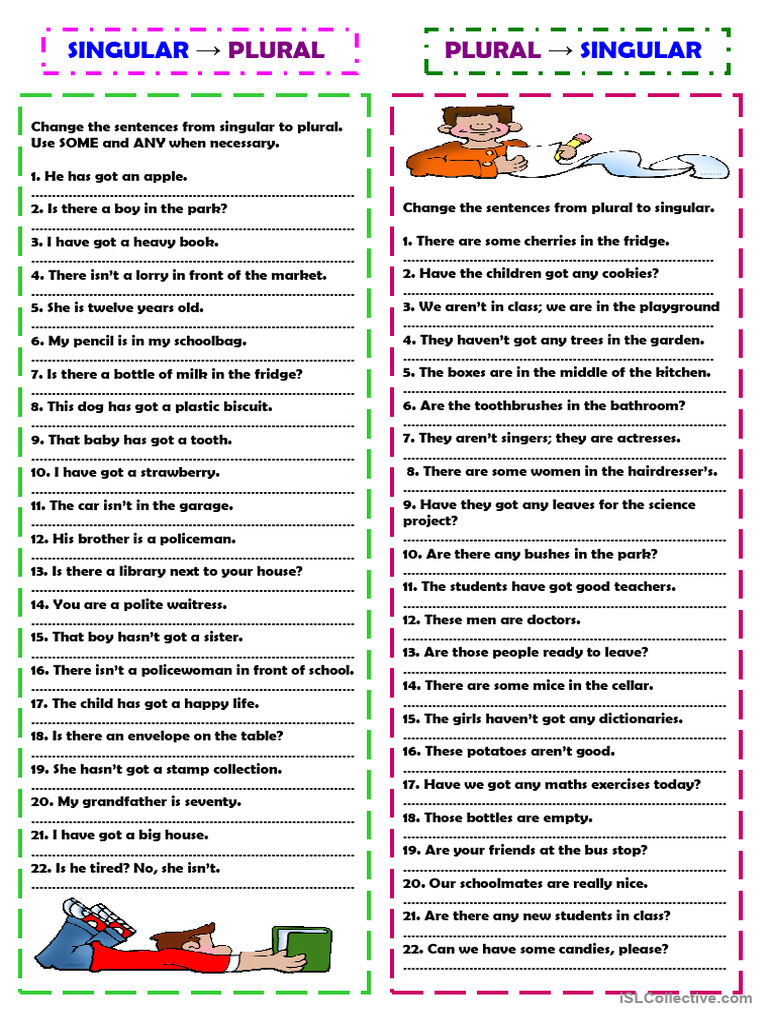 Singular and Plural Sentence Exercises | PDF