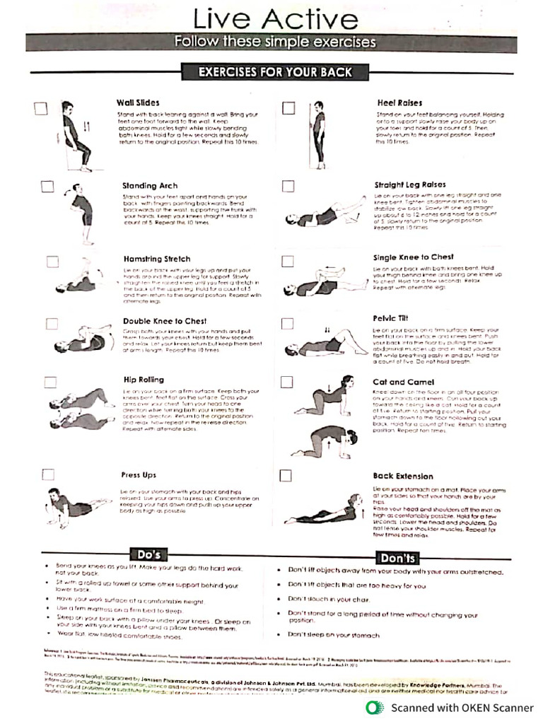 Back Exercise | PDF