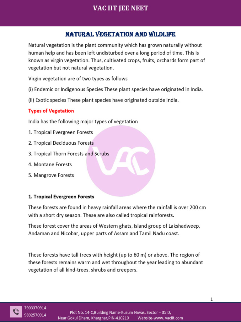 Types of Natural Vegetation in India | PDF | Forests | Trees