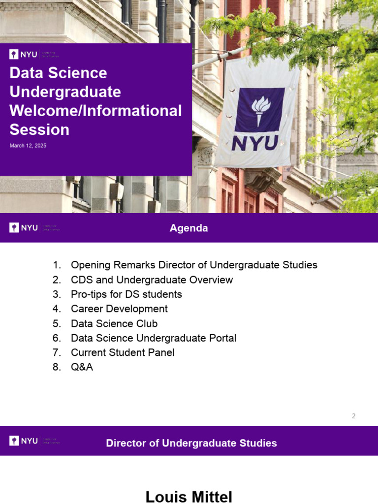 Data Science Undergraduate Program Overview | PDF | Mathematics | Science