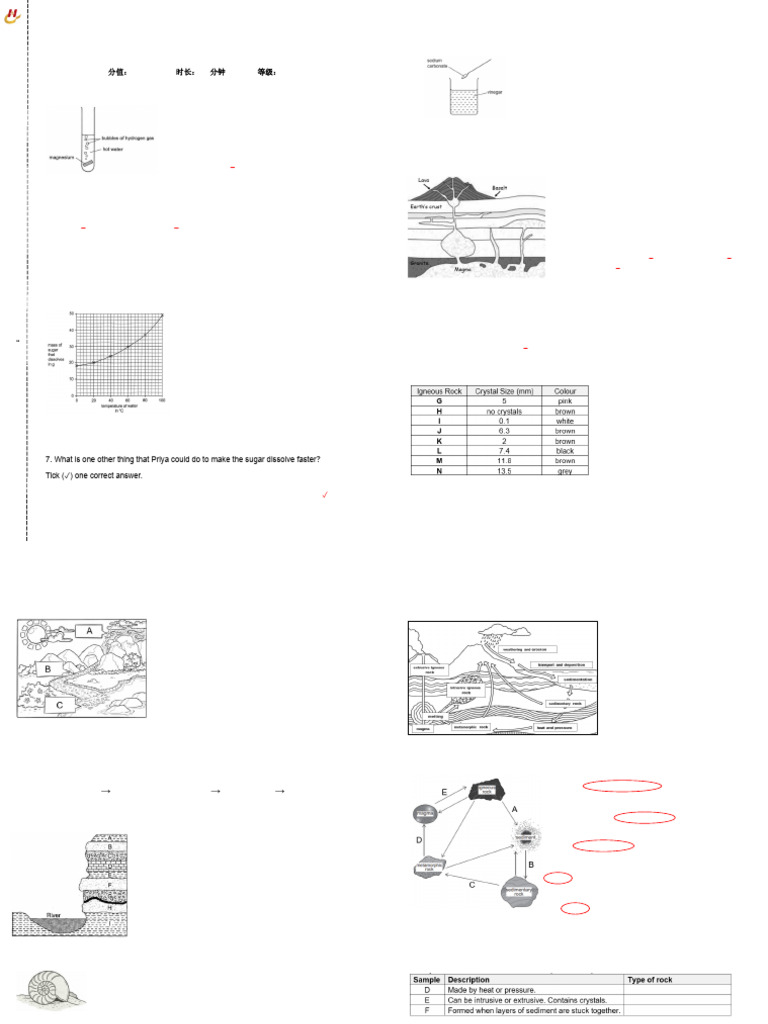 Grade 6 Science Practice Paper | PDF | Rock (Geology) | Sedimentary Rock