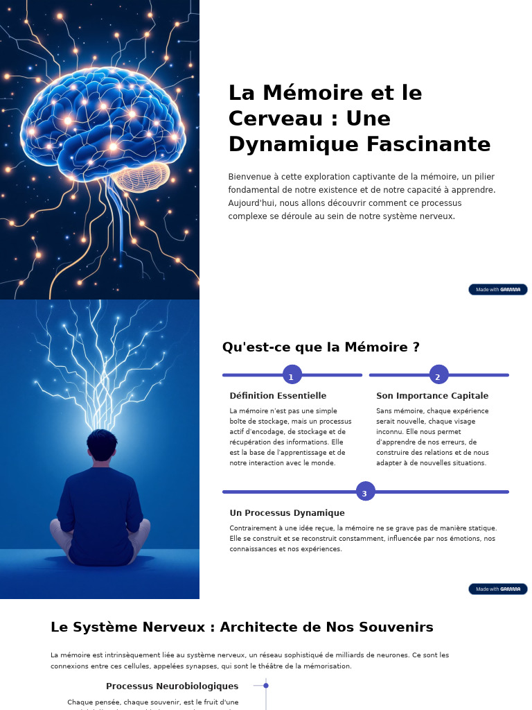 Comprendre la Mémoire et son Fonctionnement | PDF | Mémoire | Cerveau