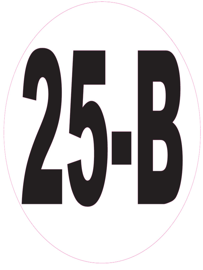 25B | PDF