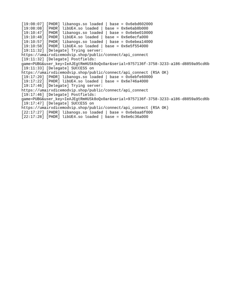 PUBG API Connection Log Details | PDF