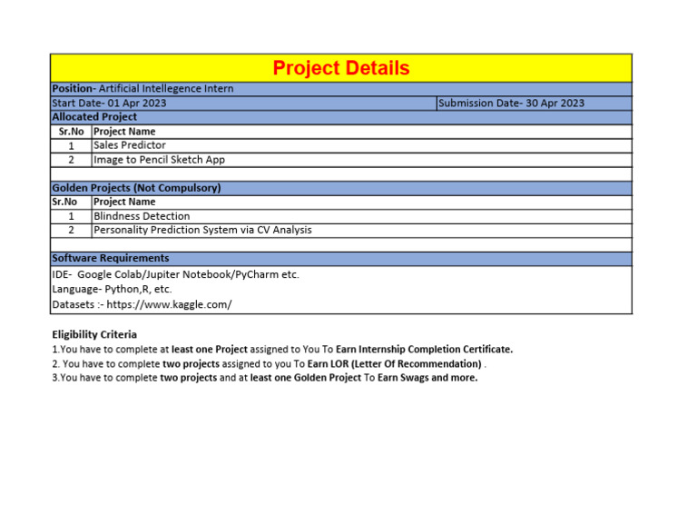 AI Internship Project Guidelines | PDF