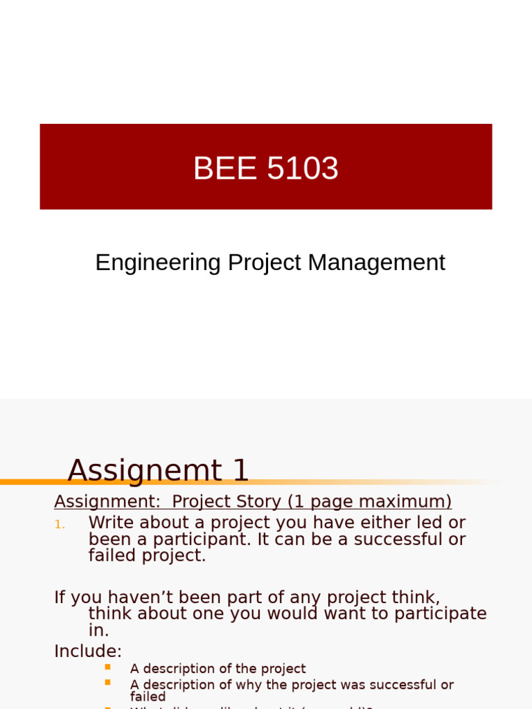 Project Management Assignment Guide | PDF | Project Management | Business