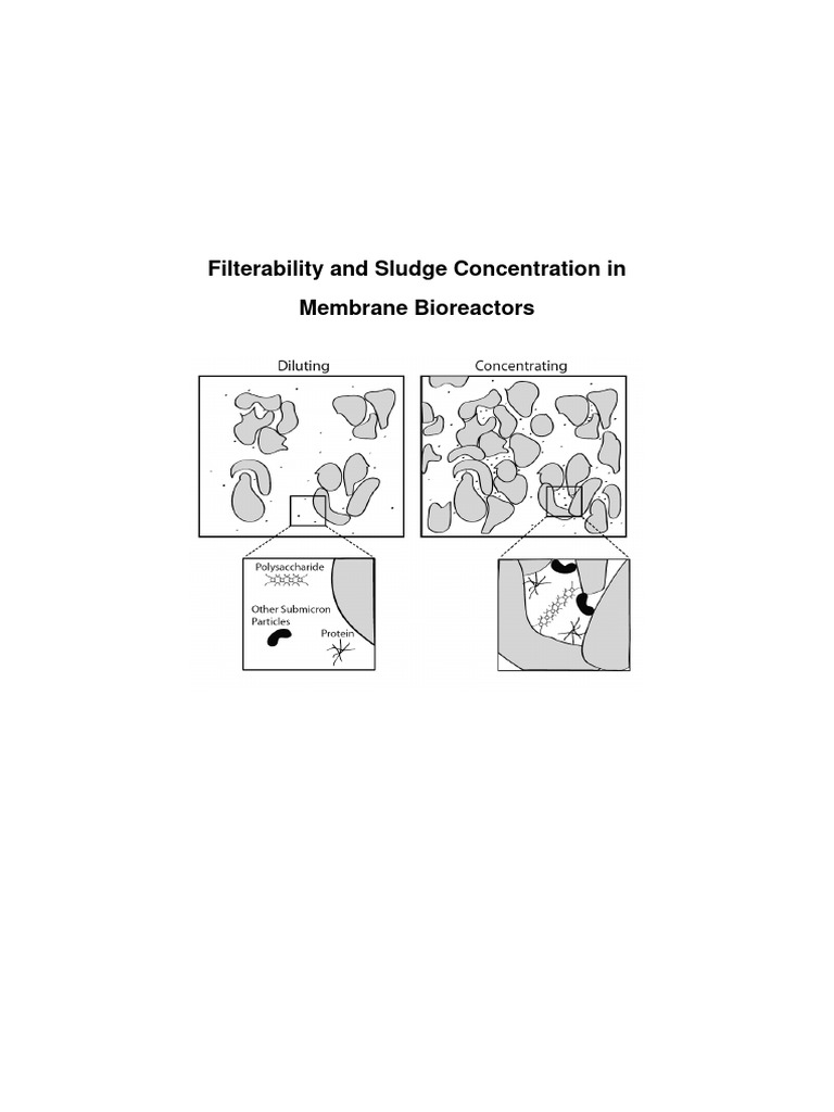MBR Sludge Concentration & Filterability | PDF | Sewage Treatment ...