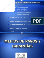 Medios de Pagos y Garantias