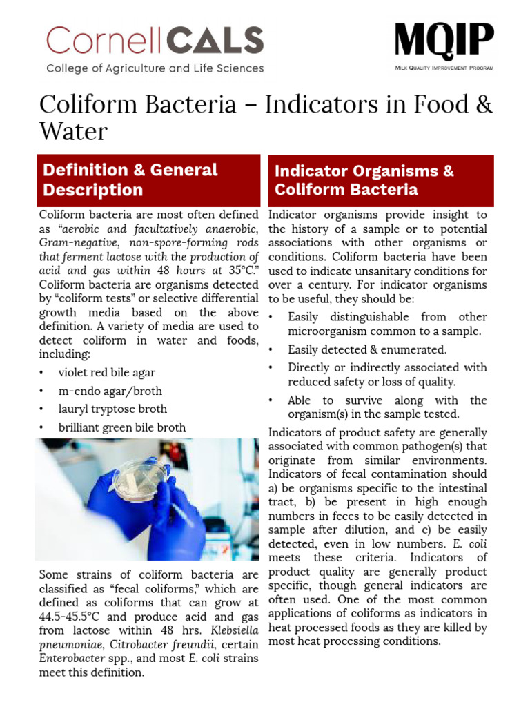 Coliform Bacteria in Food & Water Safety | PDF | Microbiology | Bacteria