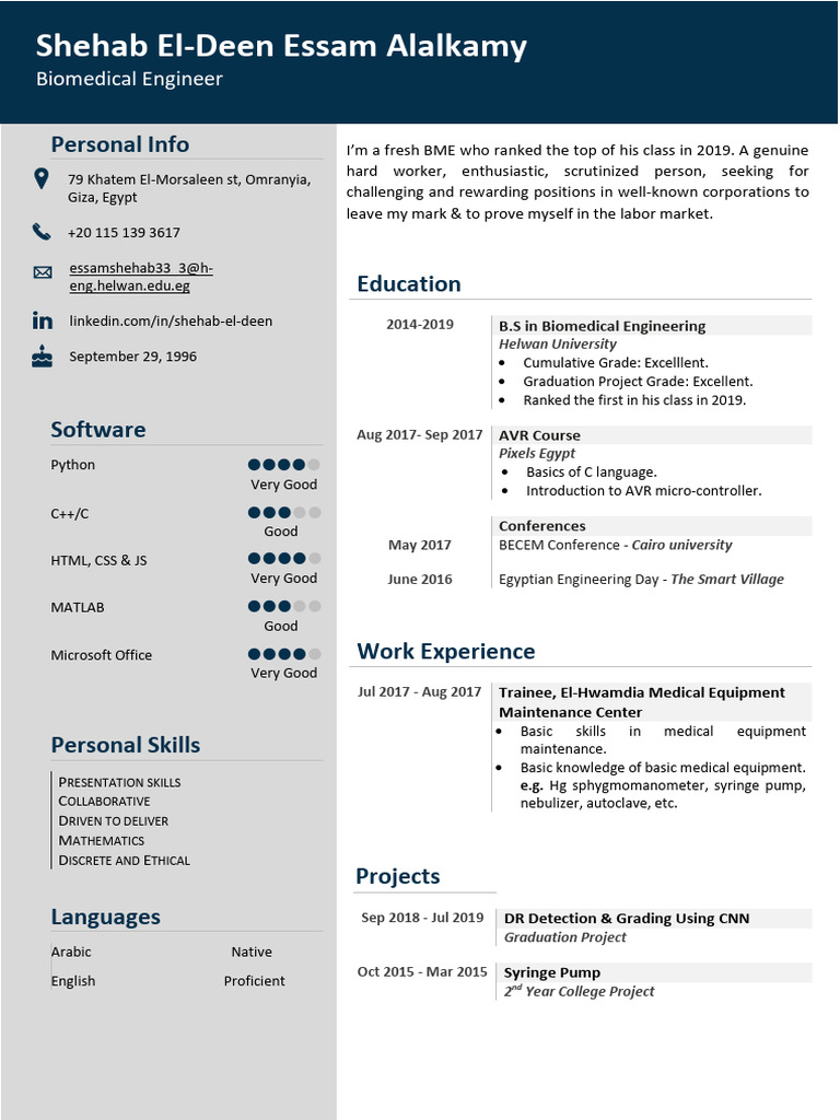 Biomedical Engineer Resume Summary | PDF