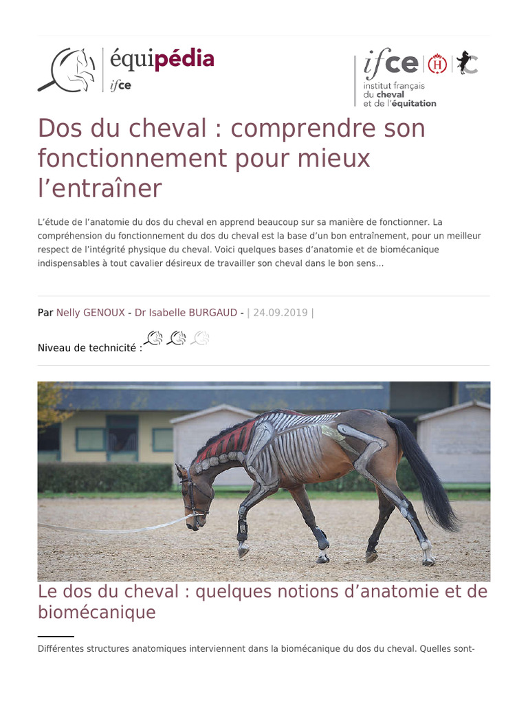 Anatomie du dos du cheval expliquée | PDF | Vertèbre | Allure (équitation)