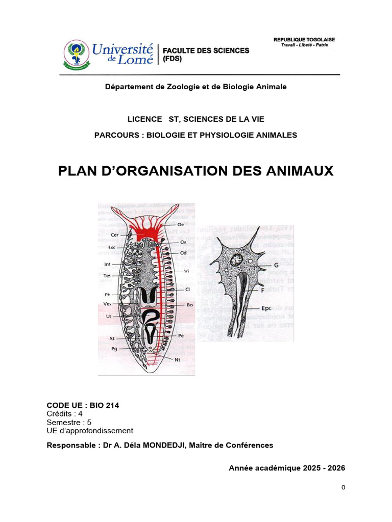 Organisation et Classification Animale | PDF | Espèces | Biologie