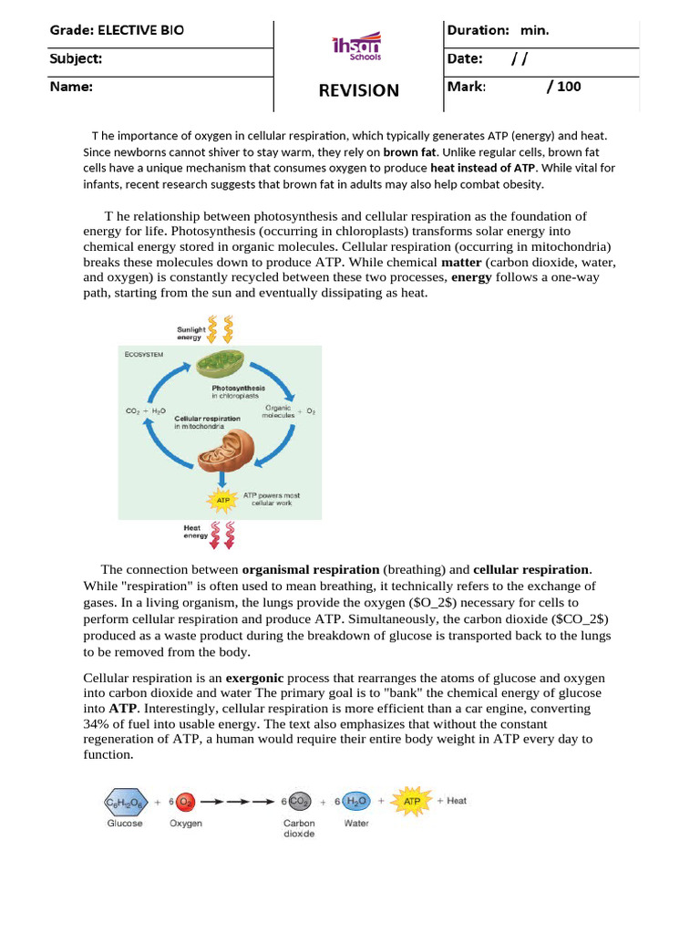 Cellular Respiration and Energy Production | PDF | Cellular Respiration ...