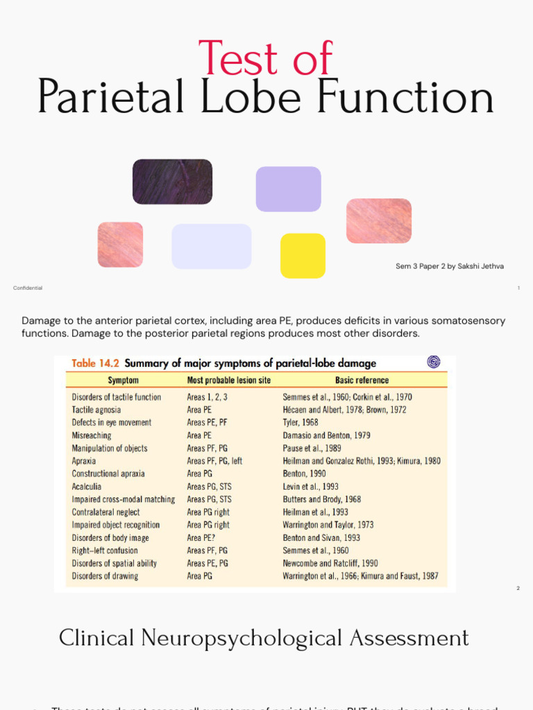 Parietal Lobe Function Assessment Tests | PDF | Parietal Lobe | Brain