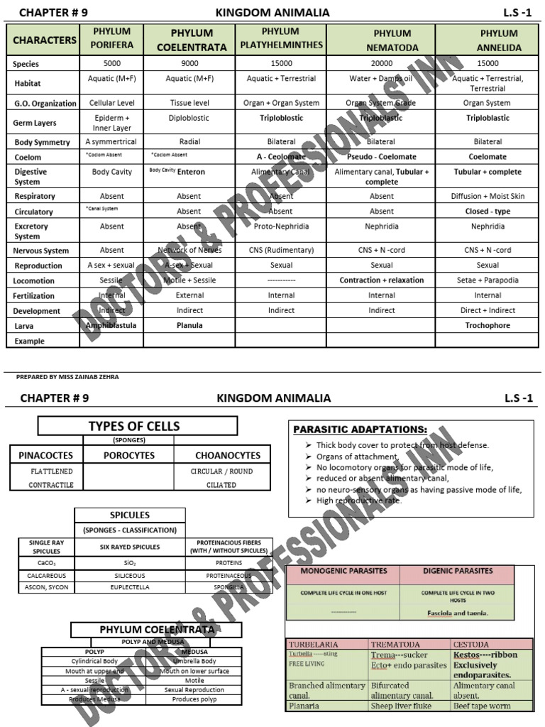 Kingdom Animalia Table l.s-1 | PDF | Sponge | Zoology