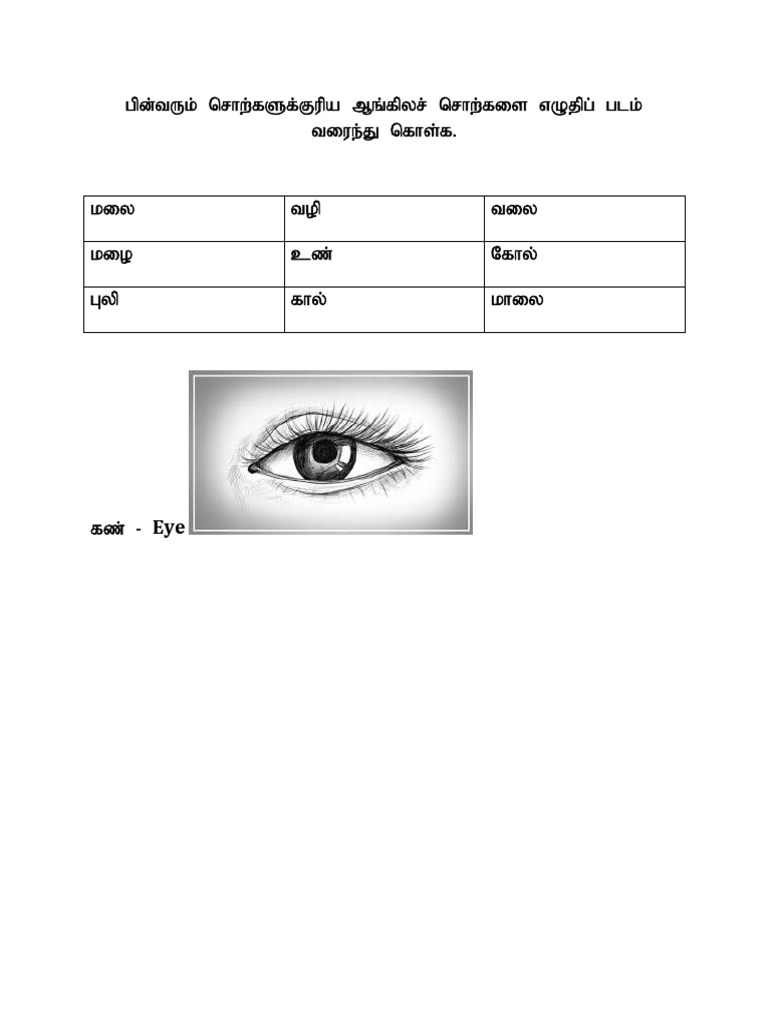 Class Work Ex | PDF