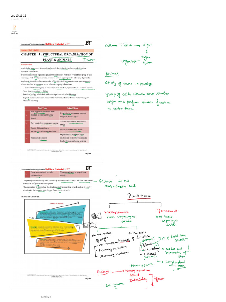 lec 10 fadv 9th | PDF
