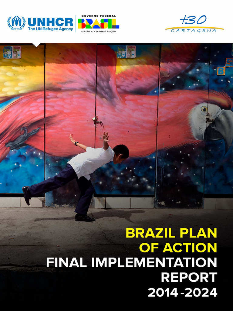 Brazil Plan of Action Final Implementation Report 2014 2024 | PDF ...
