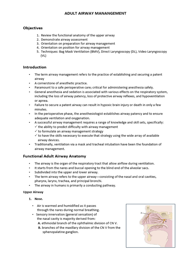 Adult Airway Management Techniques | PDF | Larynx | Respiratory Tract
