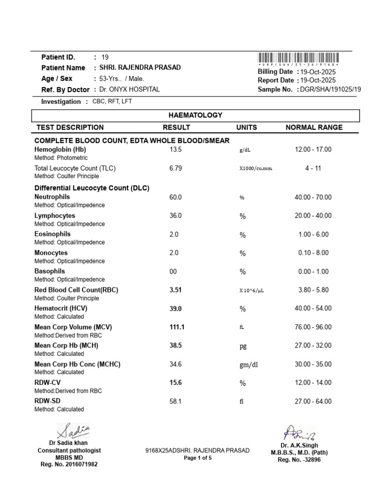 CBC, RFT, LFT Report for Patient 53M | PDF | Alanine Transaminase ...