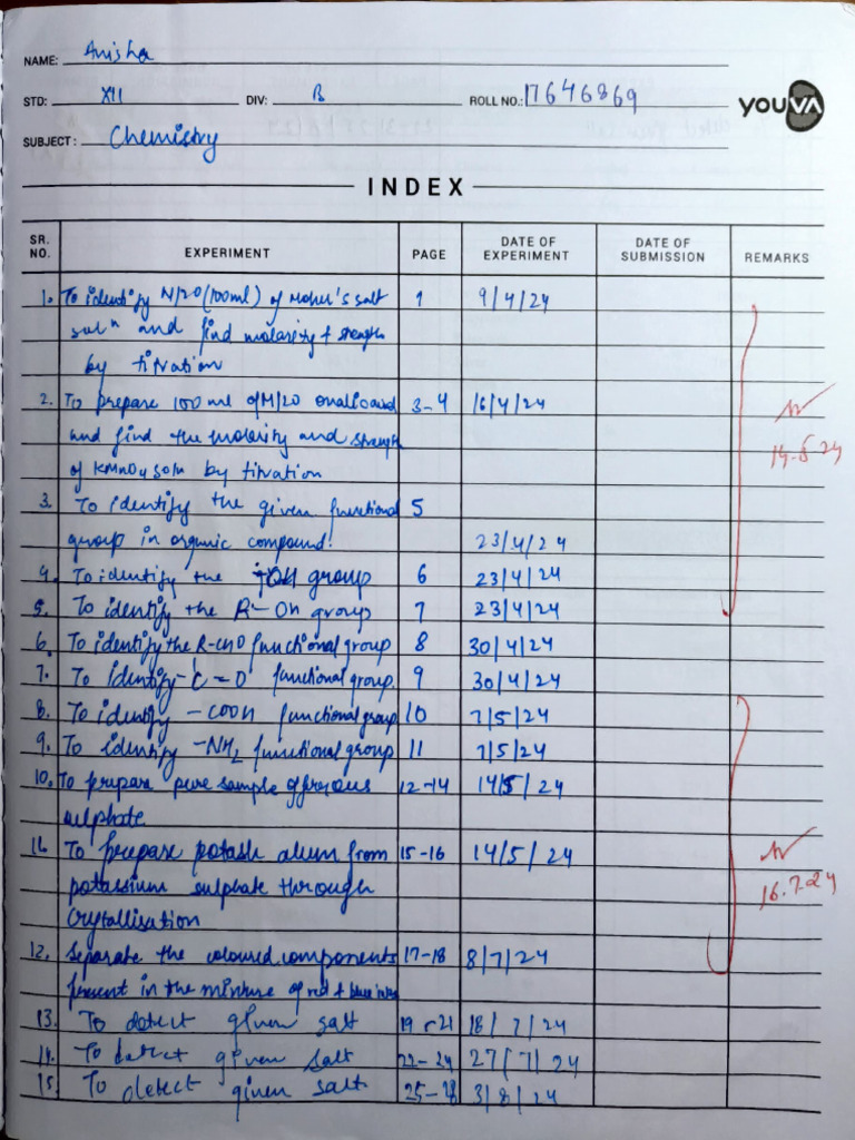 Chem Practical File Work | PDF