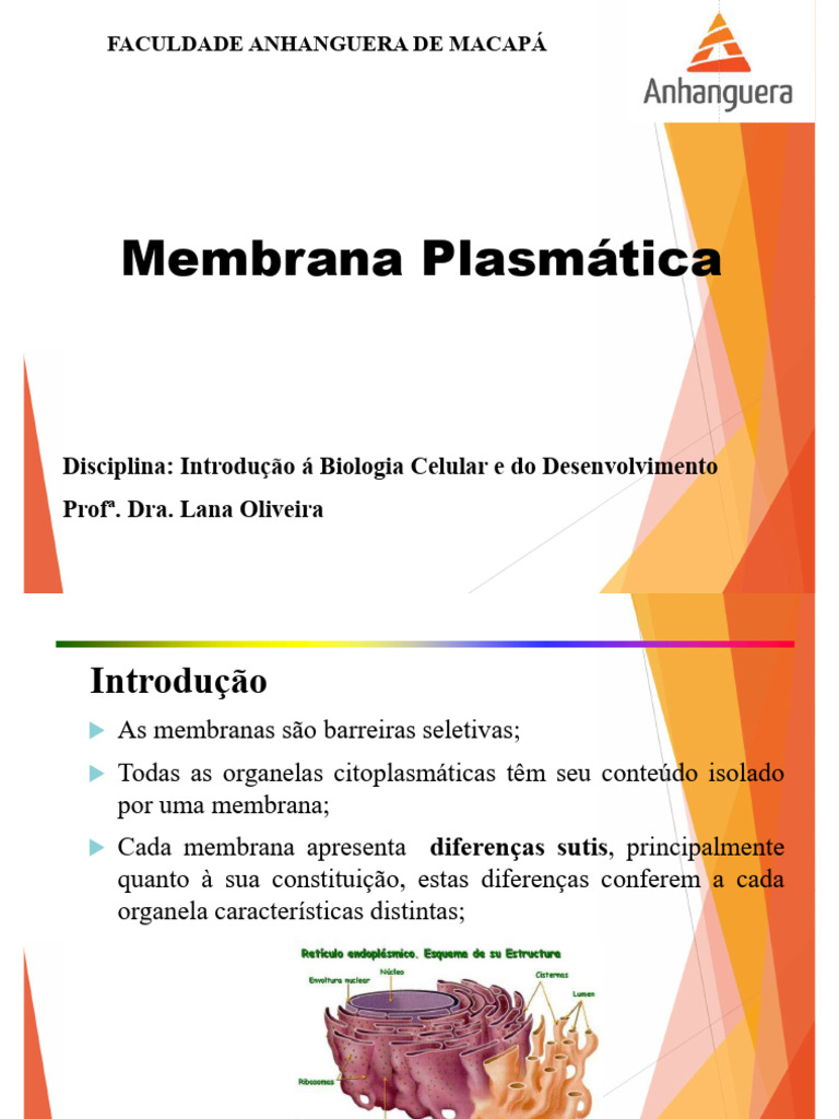 Estrutura e Função da Membrana Plasmática | PDF | Membrana celular ...