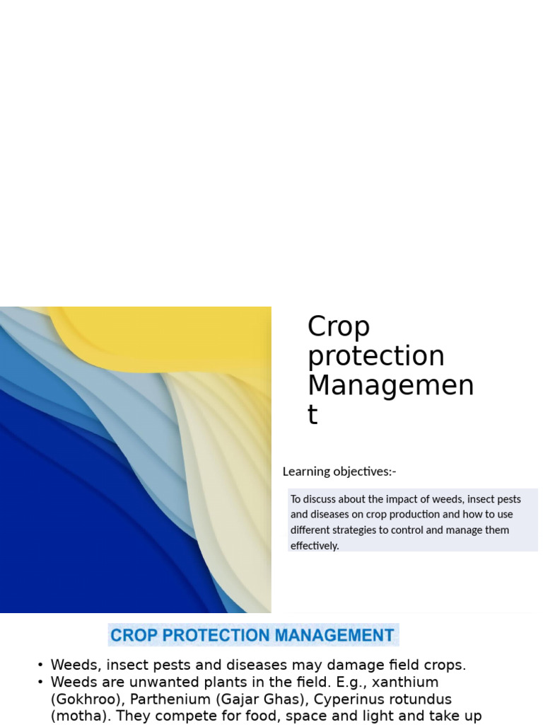Crop Protection and Grain Storage Strategies | PDF | Agriculture | Weed