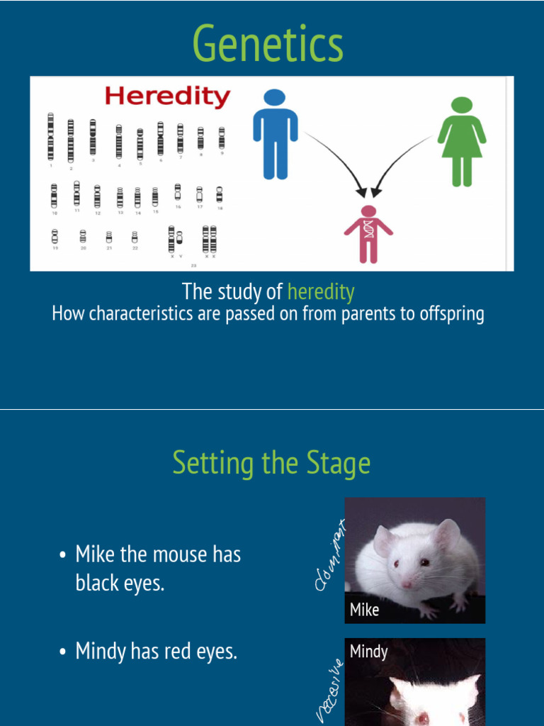 Understanding Heredity and Genetics | PDF | Genotype | Dominance (Genetics)