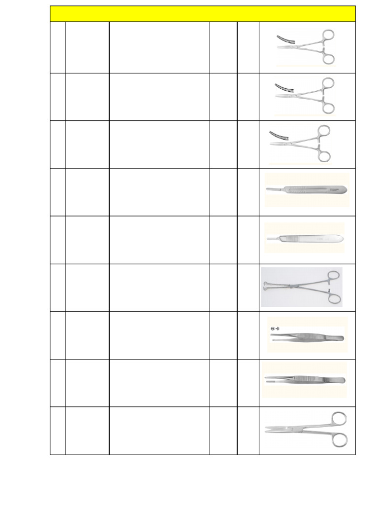 Surgical Instrument Inventory List | PDF