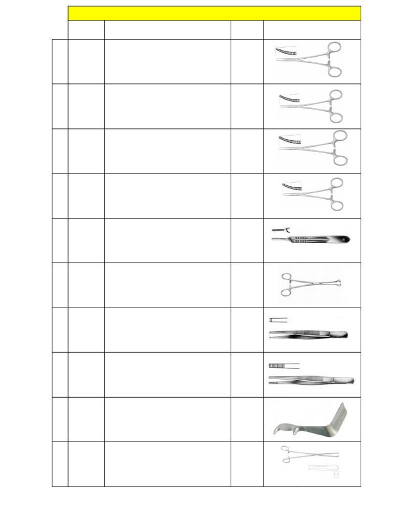 Surgical Instrument Inventory List | PDF