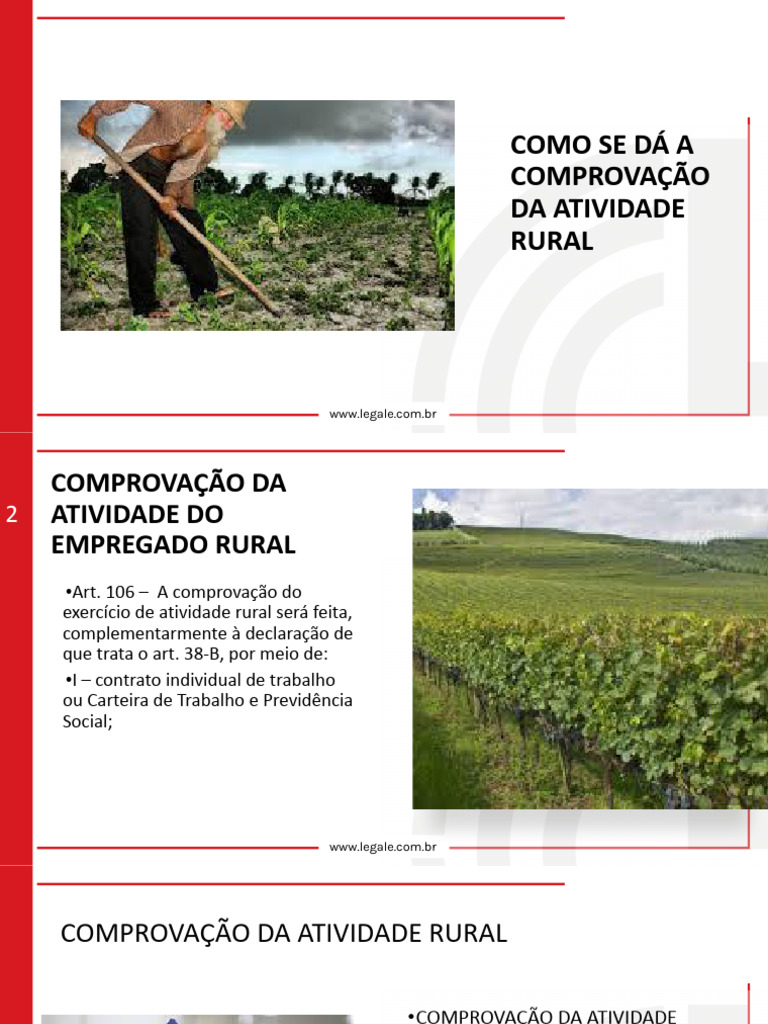 Comprovação da Atividade Rural | PDF | Leasing