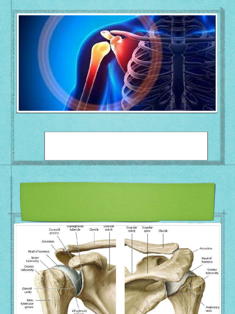 Comprehensive Shoulder Pain Management Guide | PDF | Shoulder | Limbs ...