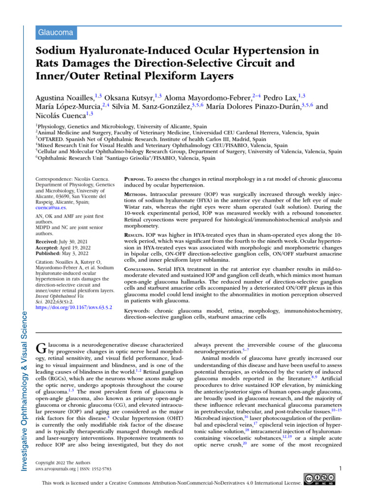 Sodium Hyaluronate and Retinal Damage in Glaucoma | PDF | Glaucoma | Retina