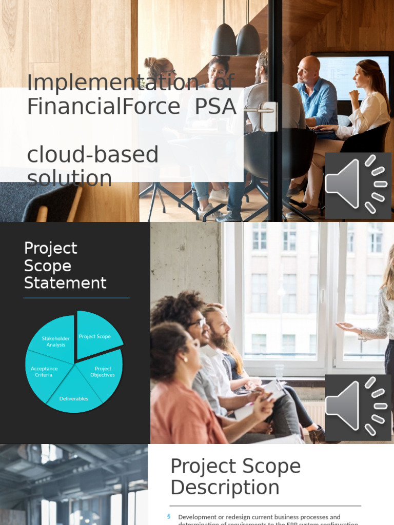 FinancialForce PSA Implementation Plan | PDF | Business