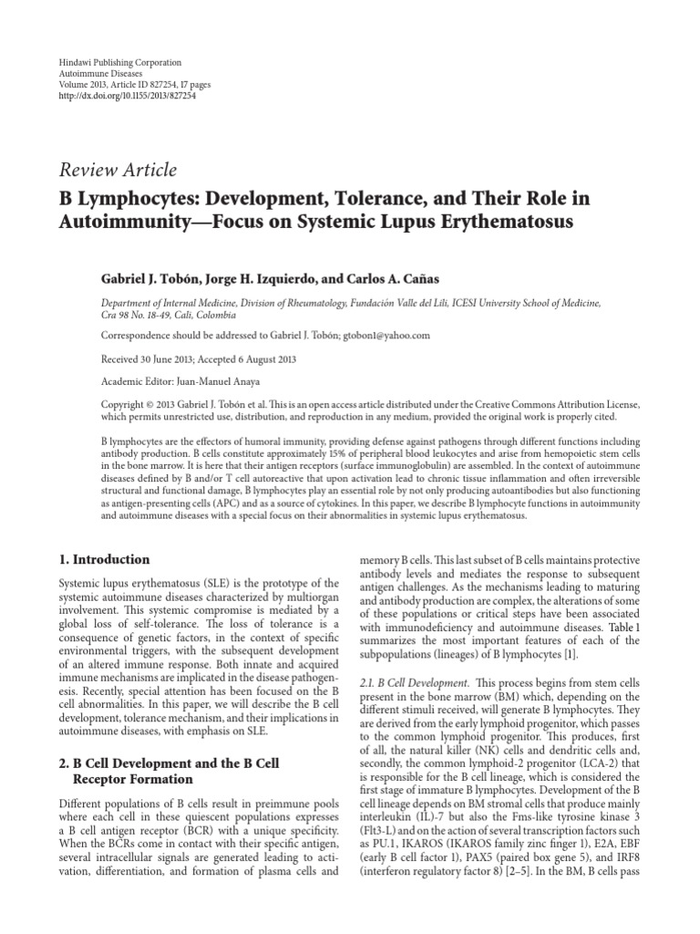B Lymphocytes Development Tolerance and Their Role | PDF | B Cell ...