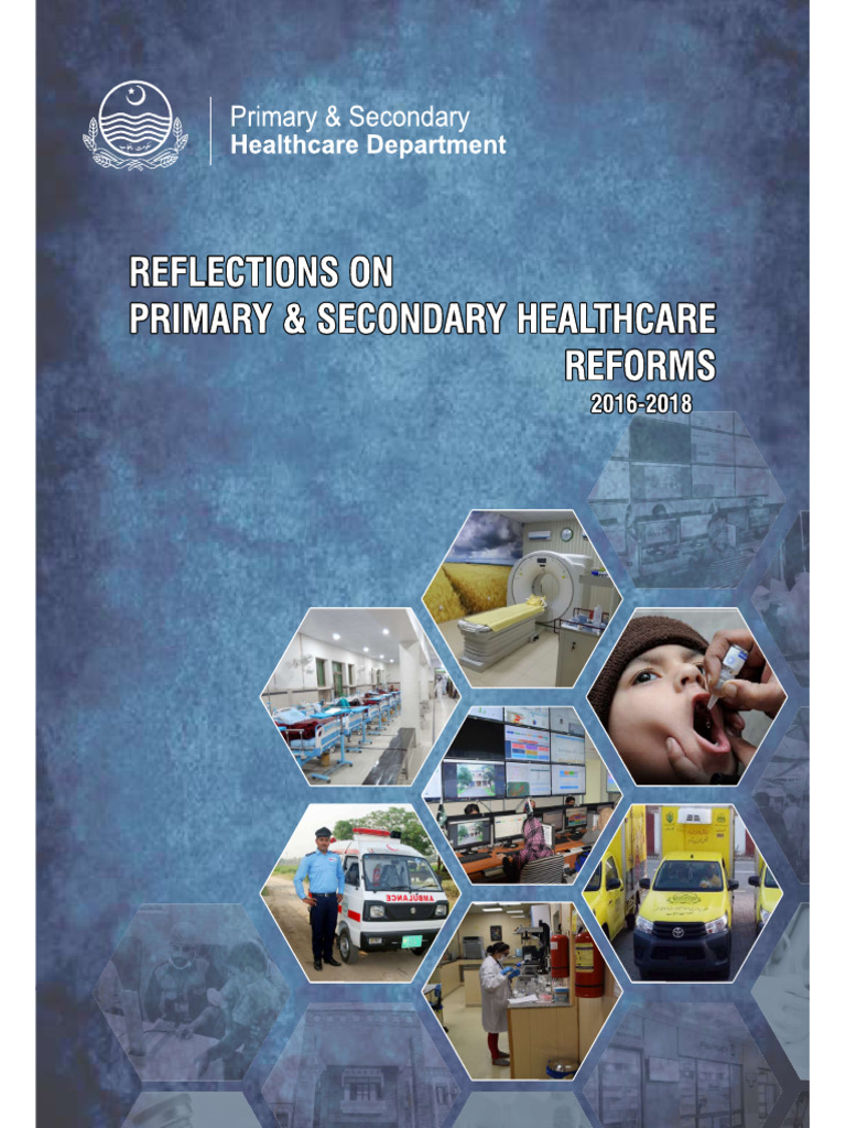 Reflections PSHD Reforms-Web | PDF