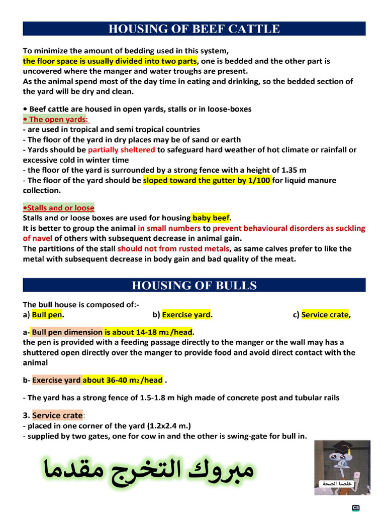 Beef & Bull | PDF