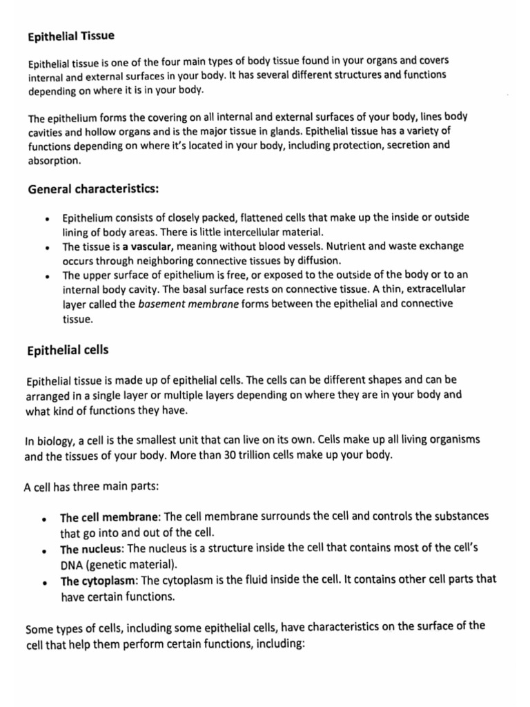 Epithelial Tissues | PDF