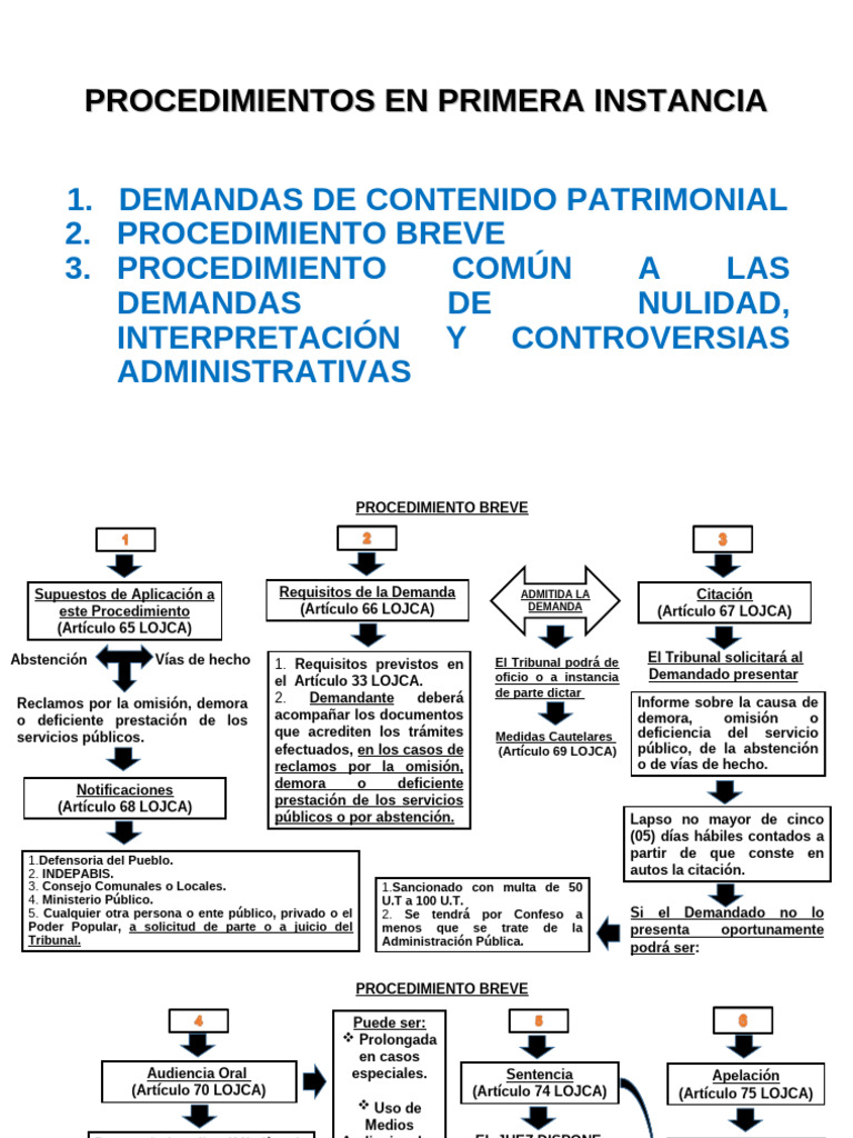 procedimientos-en-primera-instancia-judicial-pdf-ley-p-blica