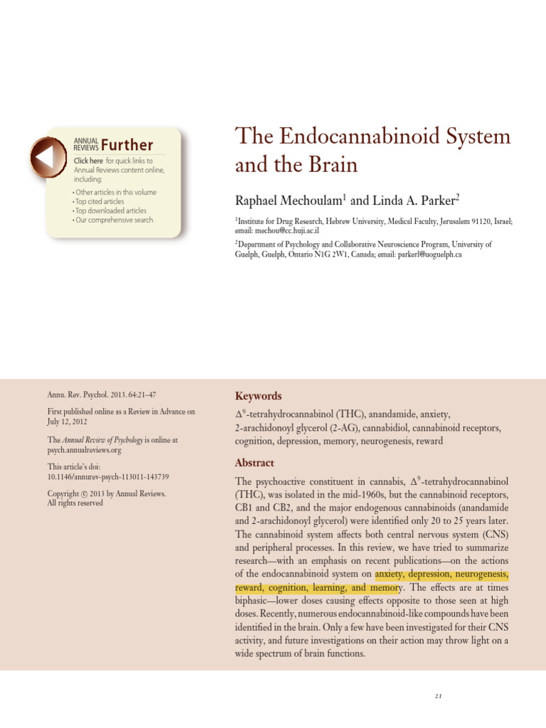 Endocannabinoid System and Brain Effects | PDF | Synapse | Neurotransmitter