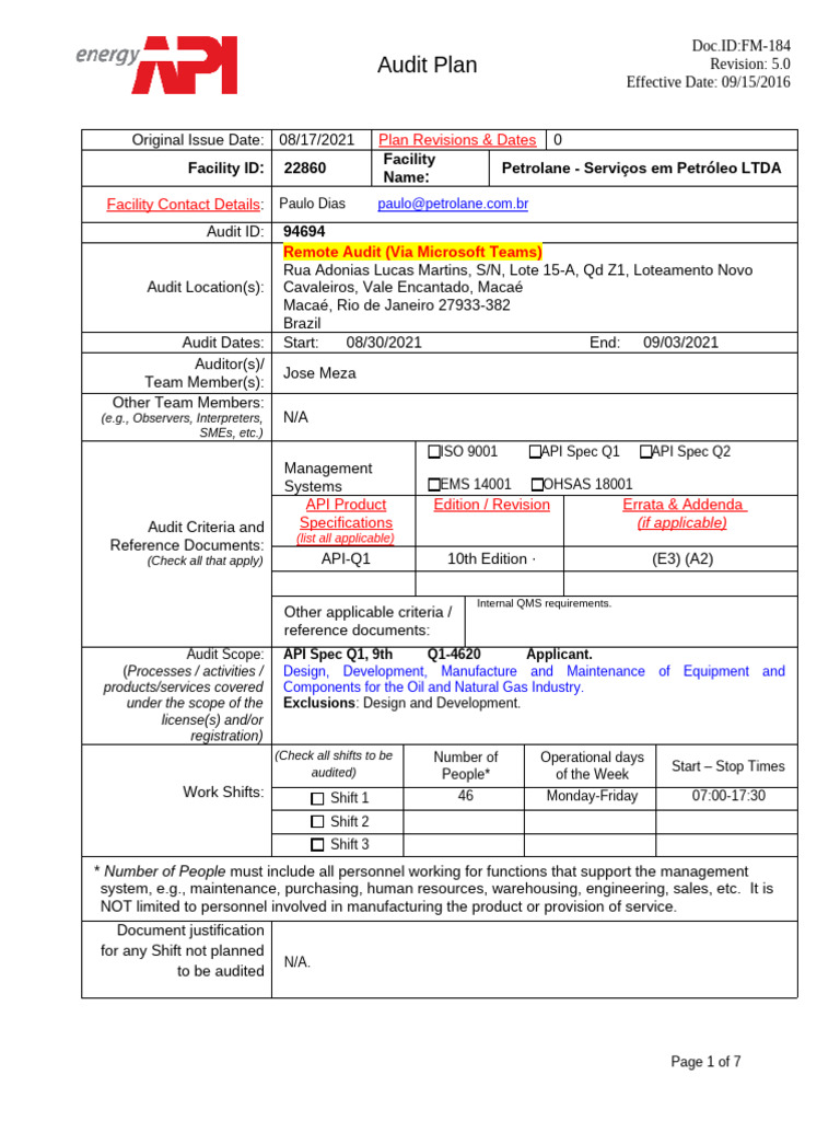 Petrolane Audit Plan Overview | PDF | Audit | Internal Audit